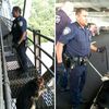 Dog Rescued On GW Bridge Was Running Home To Escape NJ Fireworks